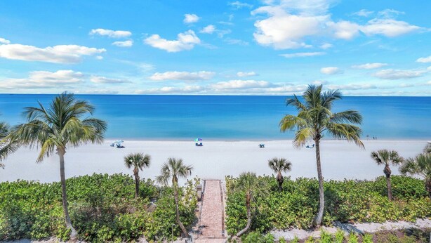 A beach with palm trees, a clear sky, and a calm sea.
