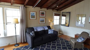 Smart TV, chimenea y libros