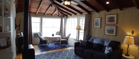 Smart TV, fireplace, books