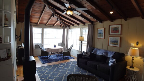 Smart TV, fireplace, books