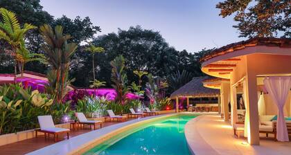 Macaws and Sloths and Monkeys, Oh My! Villa Capuchin in Manuel Antonio