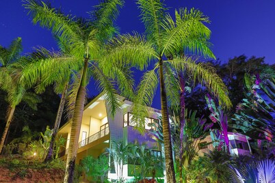 Macaws and Sloths and Monkeys, Oh My! Villa Capuchin in Manuel Antonio