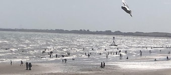 Salt on the Harbour