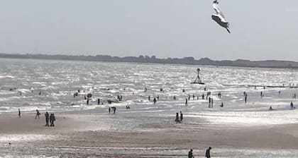 Salt on the Harbour