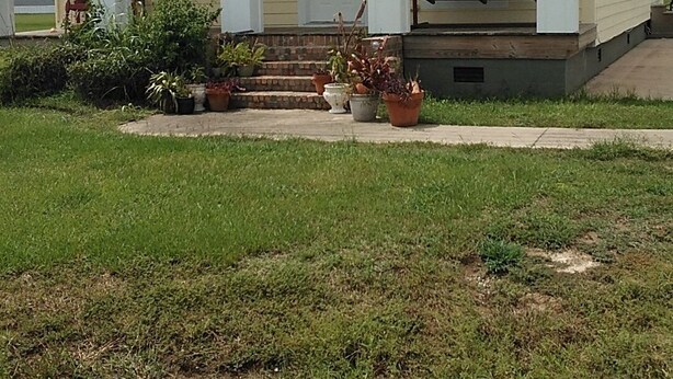 A single-story yellow house with a front porch, a small front yard, and a grassy area in front.