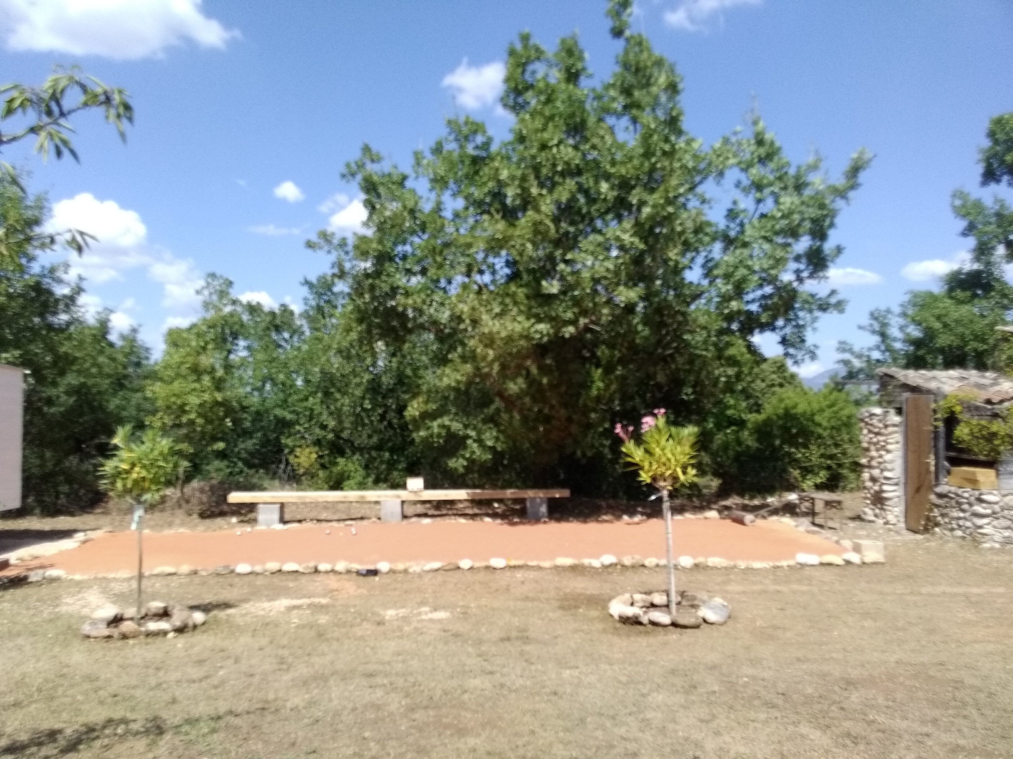 Ein Garten mit einer Steinsitzbank, einem kleinen Baum und einer Steinmauer.