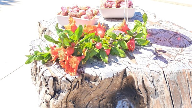 Un cadre agréable au bord de la piscine, avec une boisson, des fruits et un tronc d’arbre rustique en guise de table.