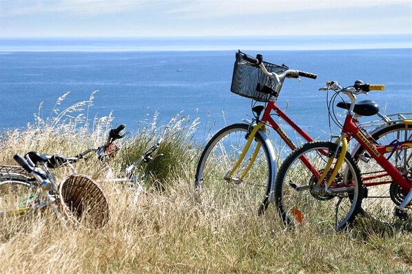 Des vélos sont garés sur une colline herbeuse, d’où l’on a une vue sur l’océan.