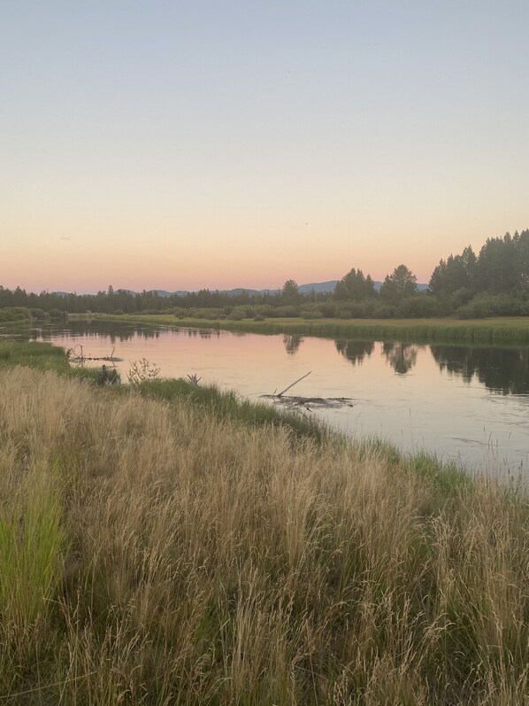 Unclassified image, 1 of 50, button