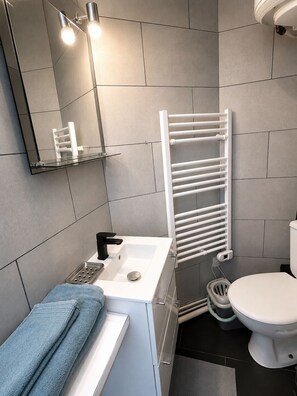 Shower, towels, toilet paper