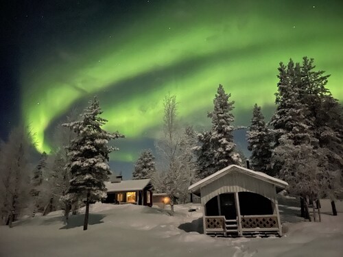 Wilderness & Calmness ~ Forest Wildlife Nature