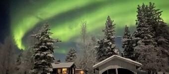 Wilderness & Calmness ~ Forest Wildlife Nature