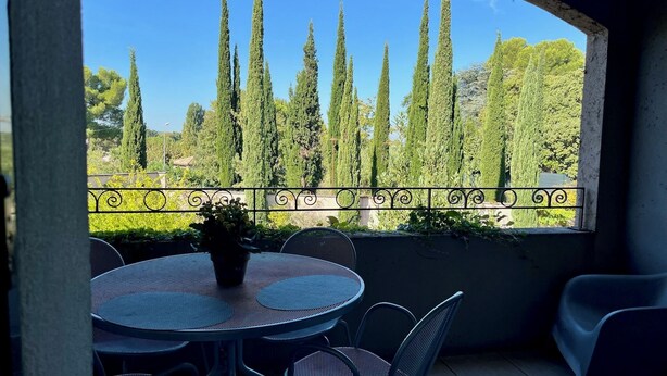 A patio with a round table and chairs, a potted plant, and a view of tall trees and greenery. - Alpilles-side apartment with terrace in Saint-Remy-de-Provence (Saint-Rémy-de-Provence)