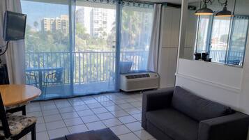 TV, DVD player, books, video library