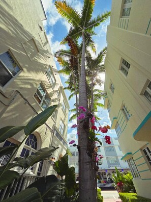 Facciata della struttura