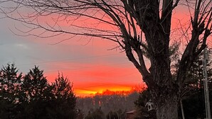 A rural landscape with a prominent tree in the foreground, a field, and a distant sunset. - Glamping at Peace In The Valley (Glasgow)