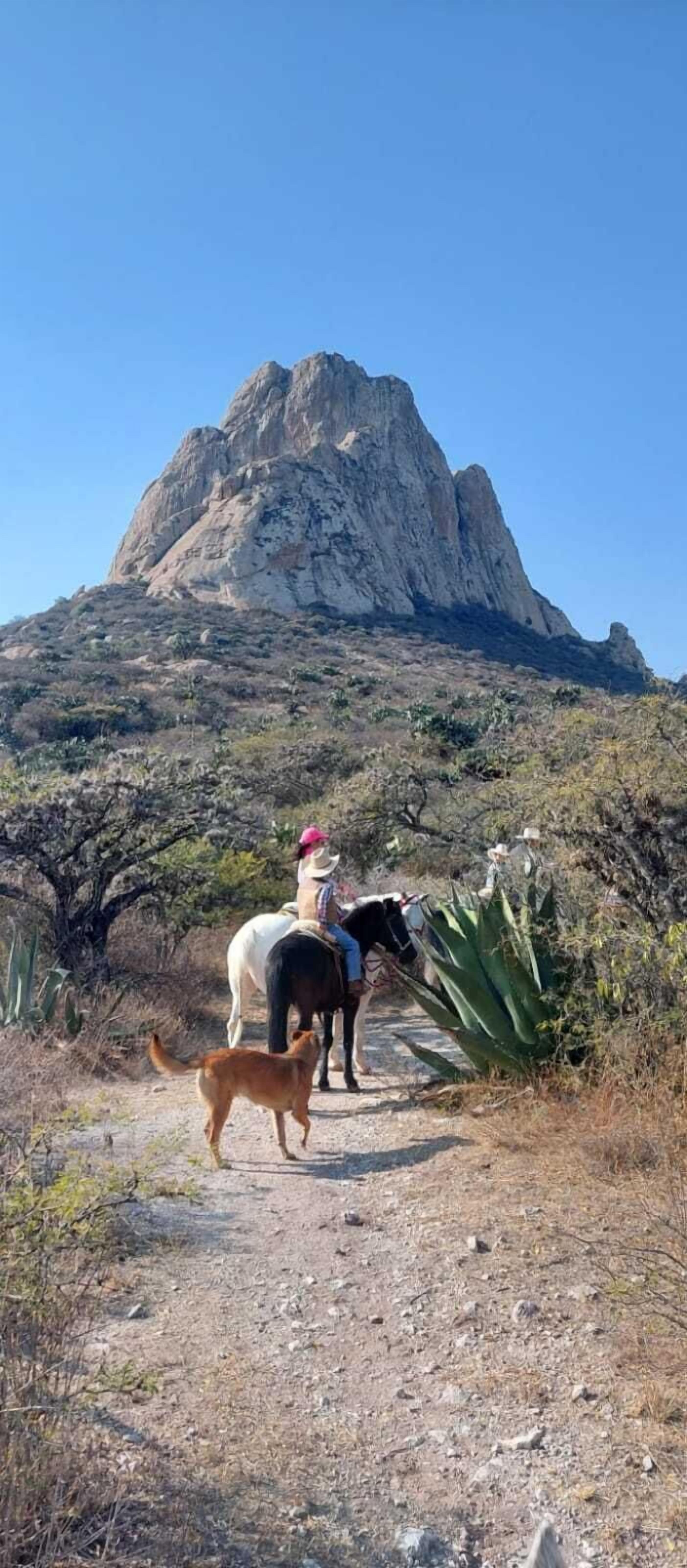 A person riding a horse on a dirt path with a dog, surrounded by dry vegetation and a large rock formation in the background.