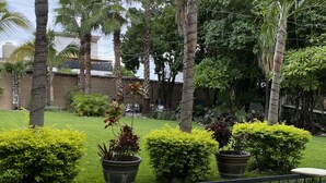 Garden view - Gran Plaza Hotel Centro Historico (Iguala de la Independencia)