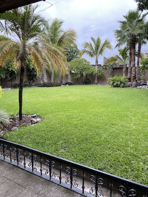 Jardim