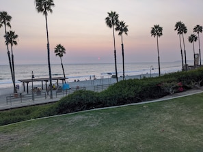 A beach with palm trees, a pier, and a clock tower.