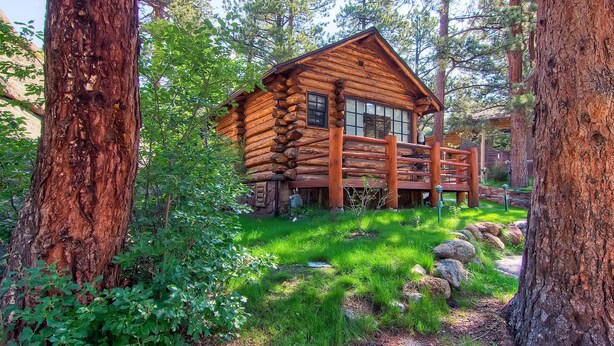 A log cabin surrounded by tall trees and a grassy area.