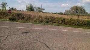 Un camino rural con una señal de alto, hierba seca y árboles dispersos.