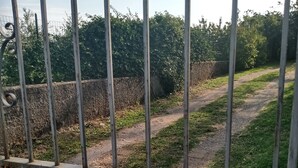 Una cerca de metal con barras verticales y detalles decorativos.