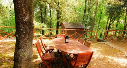 NEW! Cottage surrounded by greenery in Mt. Malbe! x7