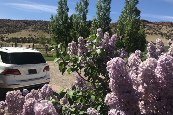 Àrea exterior de l'allotjament