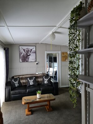 Smart TV, fireplace, books