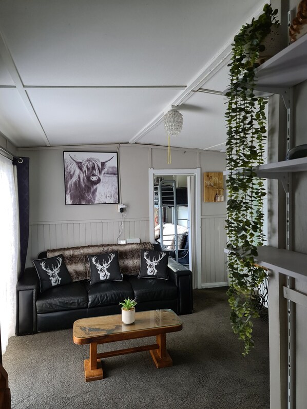 Smart TV, fireplace, books