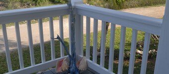 Beautiful verandah style house just one minute from the ocean,