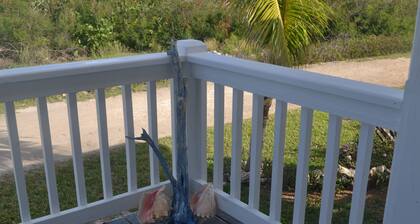 Beautiful verandah style house just one minute from the ocean,