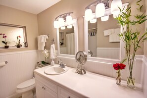 Combined shower/tub, hair dryer, towels, soap