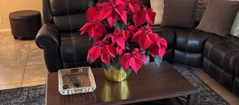 Beautiful Home in North Phoenix/ Scottsdale/ Pet friendly