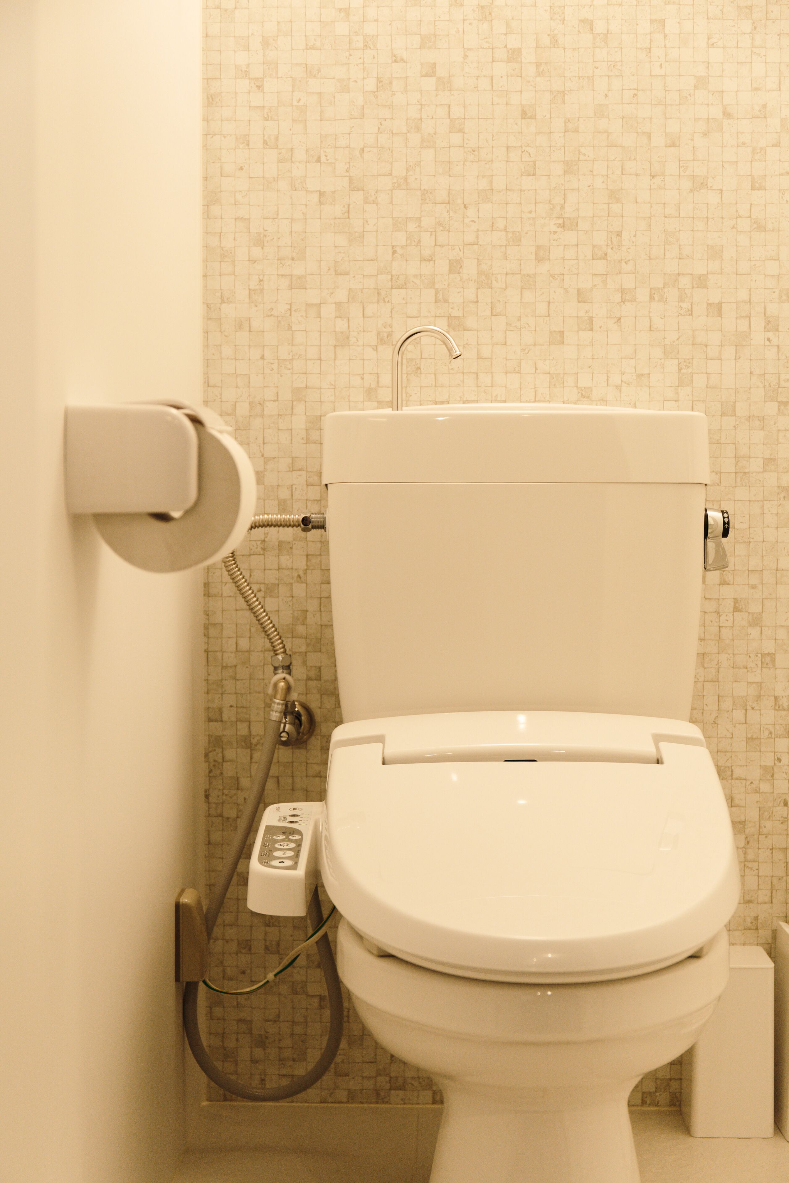 A toilet with a bidet attachment, a toilet paper holder, and a control panel.