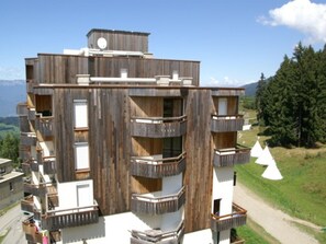 Ulkopuoli