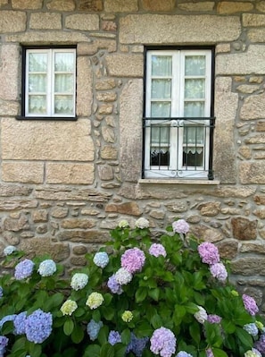 Détail de l’extérieur