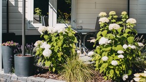 A house with a porch, a dining table, and potted plants.