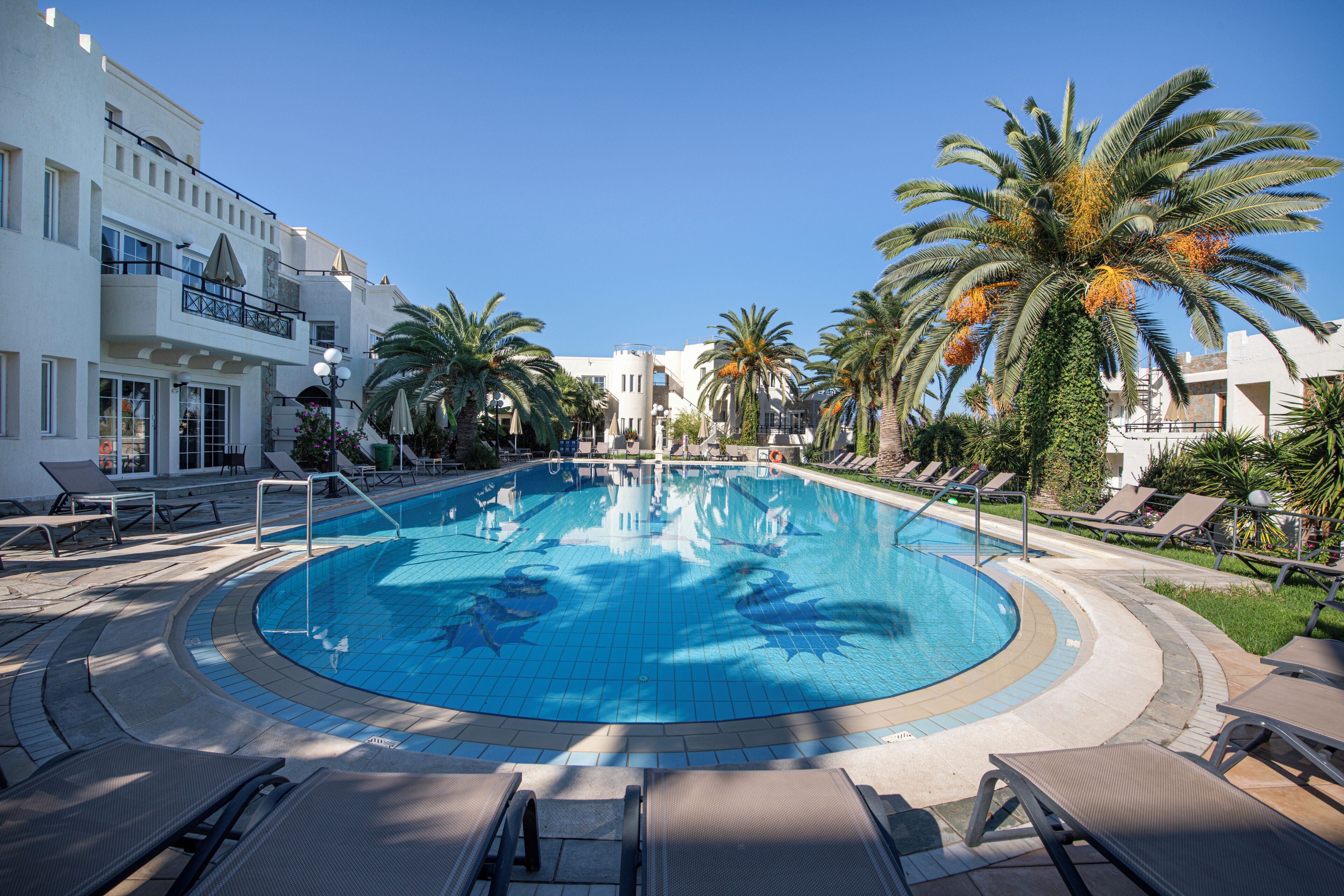 A swimming pool with lounge chairs and palm trees, surrounded by buildings.