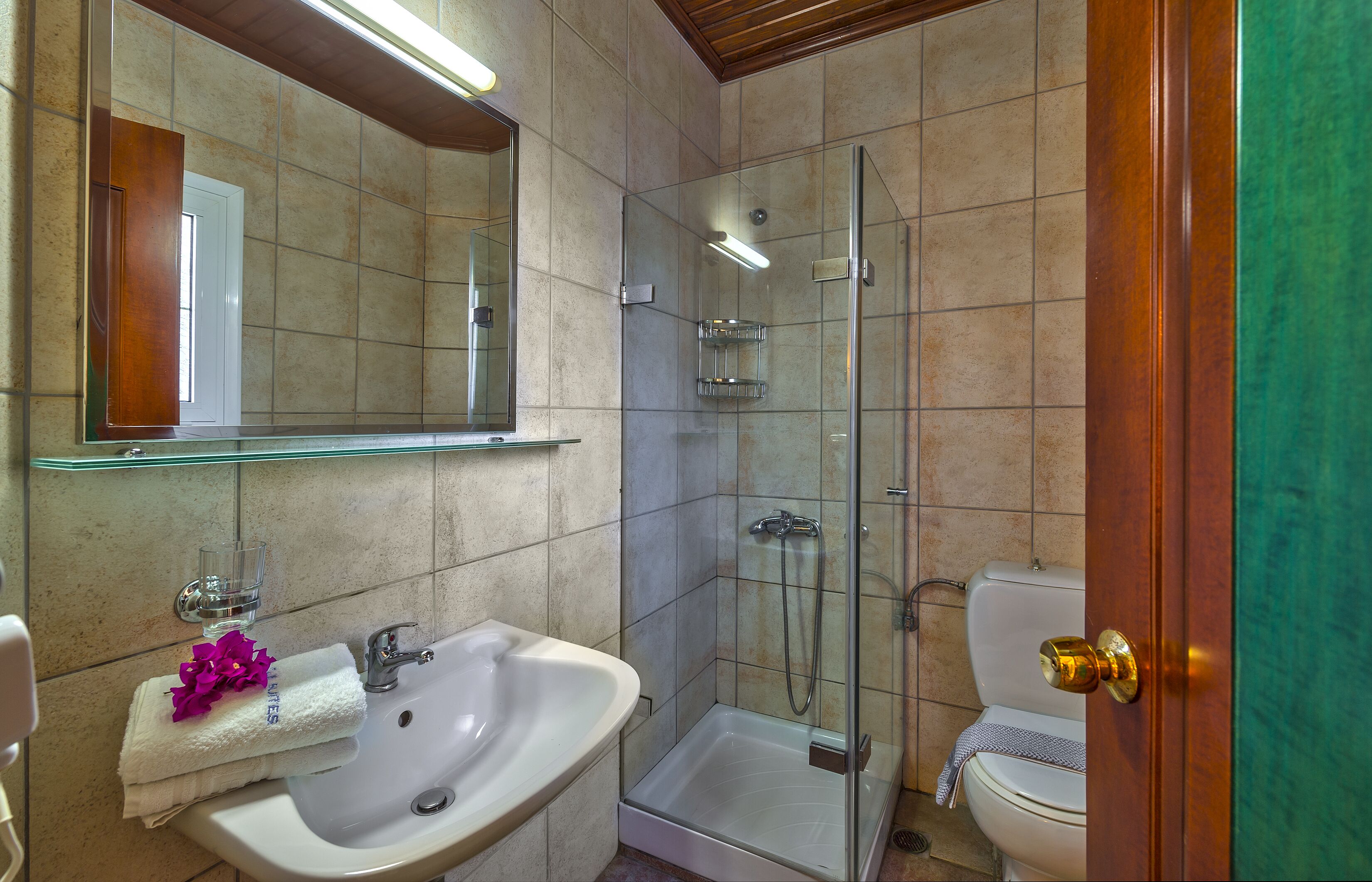 A bathroom with a glass shower enclosure, a sink, and a toilet.