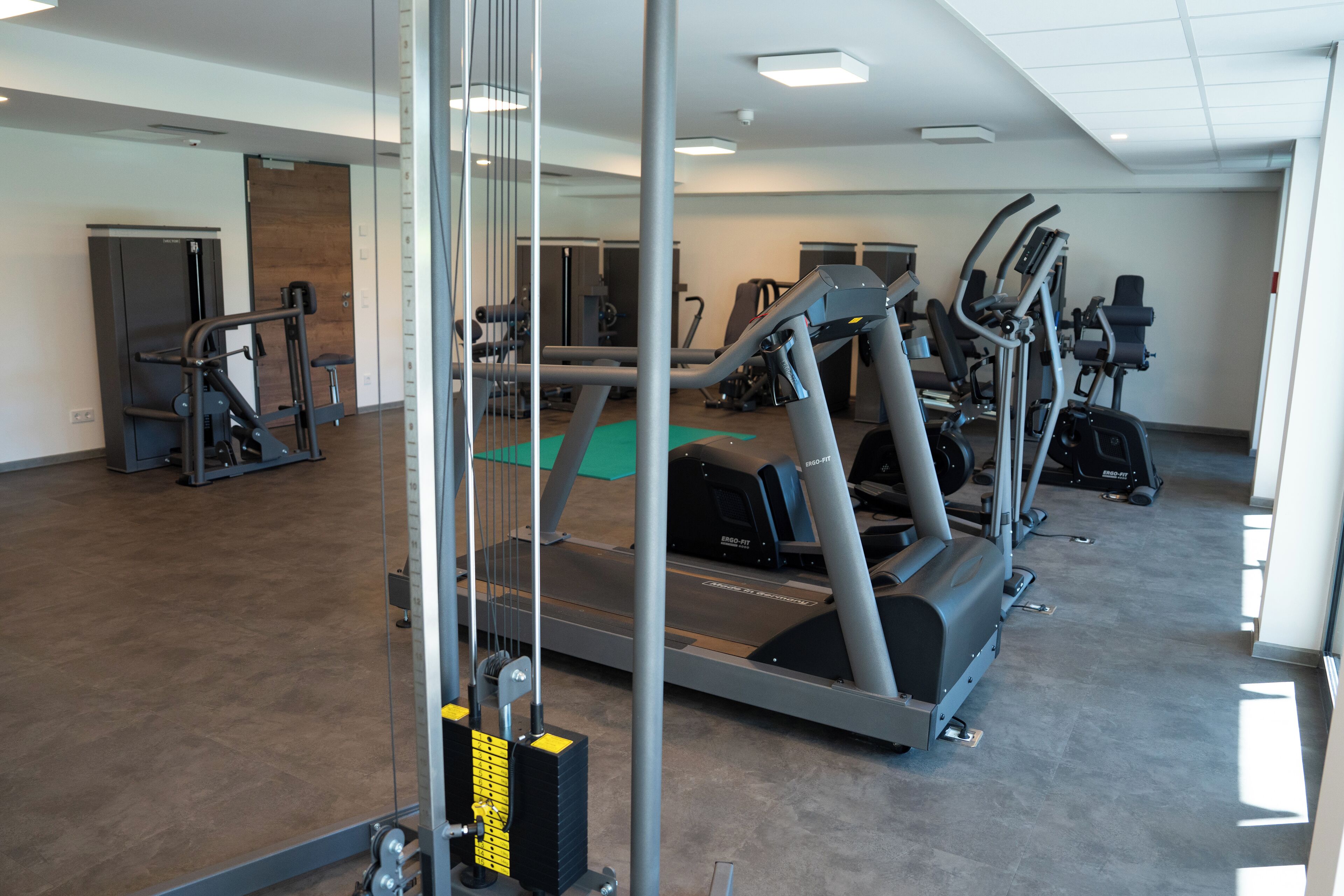 A gym with treadmills, ellipticals, and weight machines.