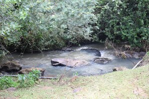 Natural pool