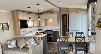 The Lizard Bluewater