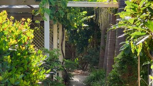 A narrow concrete pathway flanked by lush greenery and a pergola structure.