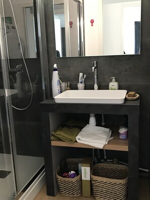 Shower, hair dryer, soap, toilet paper