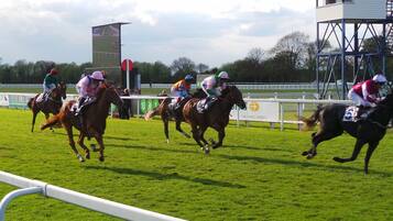 A horse race in progress with jockeys on horses, a track, and a spectator stand.