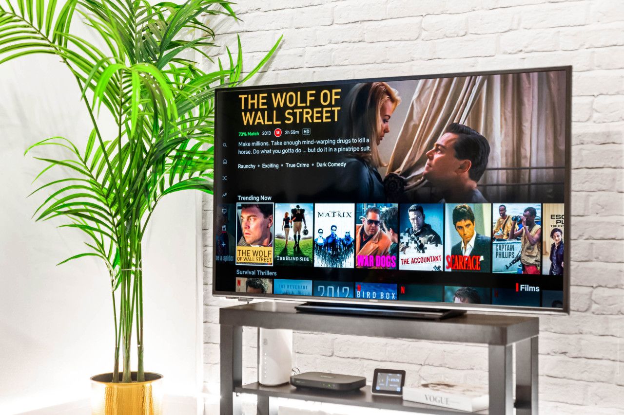Ein Fernseher zeigt den Film 'The Wolf of Wall Street', daneben steht eine Pflanze.
