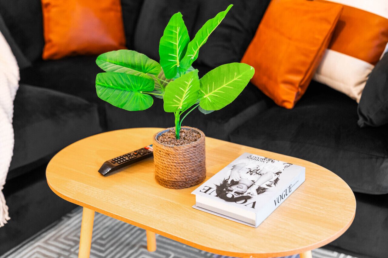 Een kleine potplant op een houten tafel met een afstandsbediening en een tijdschrift.