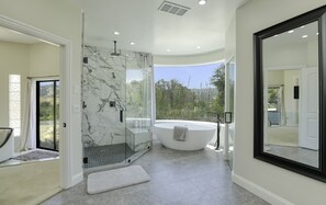 Shower, hair dryer, towels